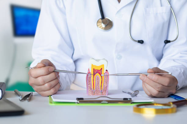 Best Urgent Dental Care for Toothaches in Glenarden, MD
